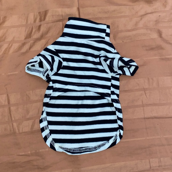 The Modern Pup Stripes - Picture 3 of 5